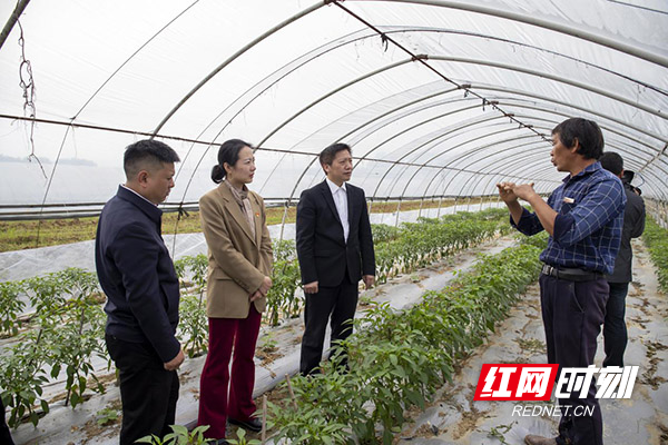 威廉希尔中文网站平台
